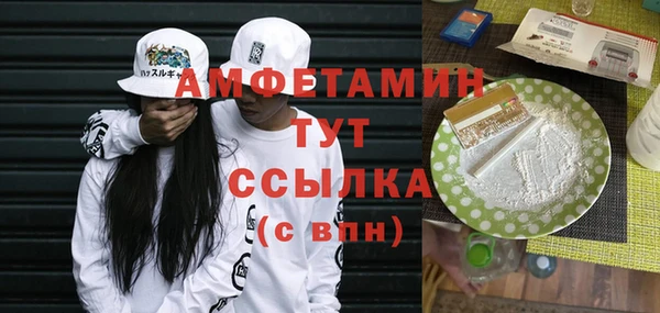 дживик Няндома