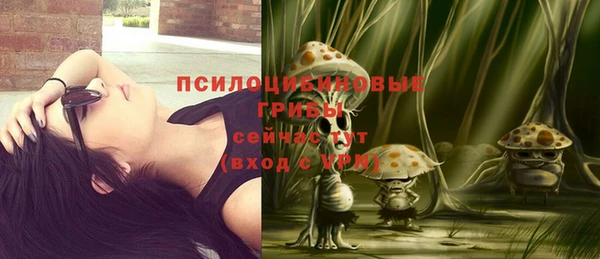 бошки Абдулино