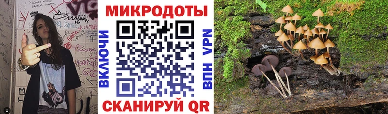 Псилоцибиновые грибы прущие грибы где купить наркоту Судогда
