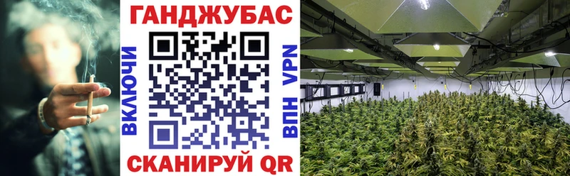 Шишки марихуана VHQ Судогда